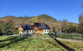 Domki Pod Brzyzkiem
